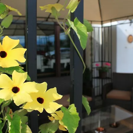 Hotel Airporthotel - Am Airport Solnohrad