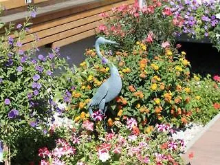 Airporthotel - Am Airport Szálloda Salzburg