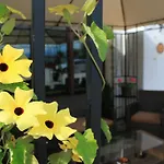 Ξενοδοχείο Airporthotel - Am Airport Σάλτσμπουργκ