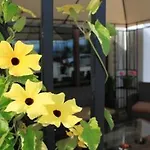 Airporthotel - Am Airport Ξενοδοχείο 4*